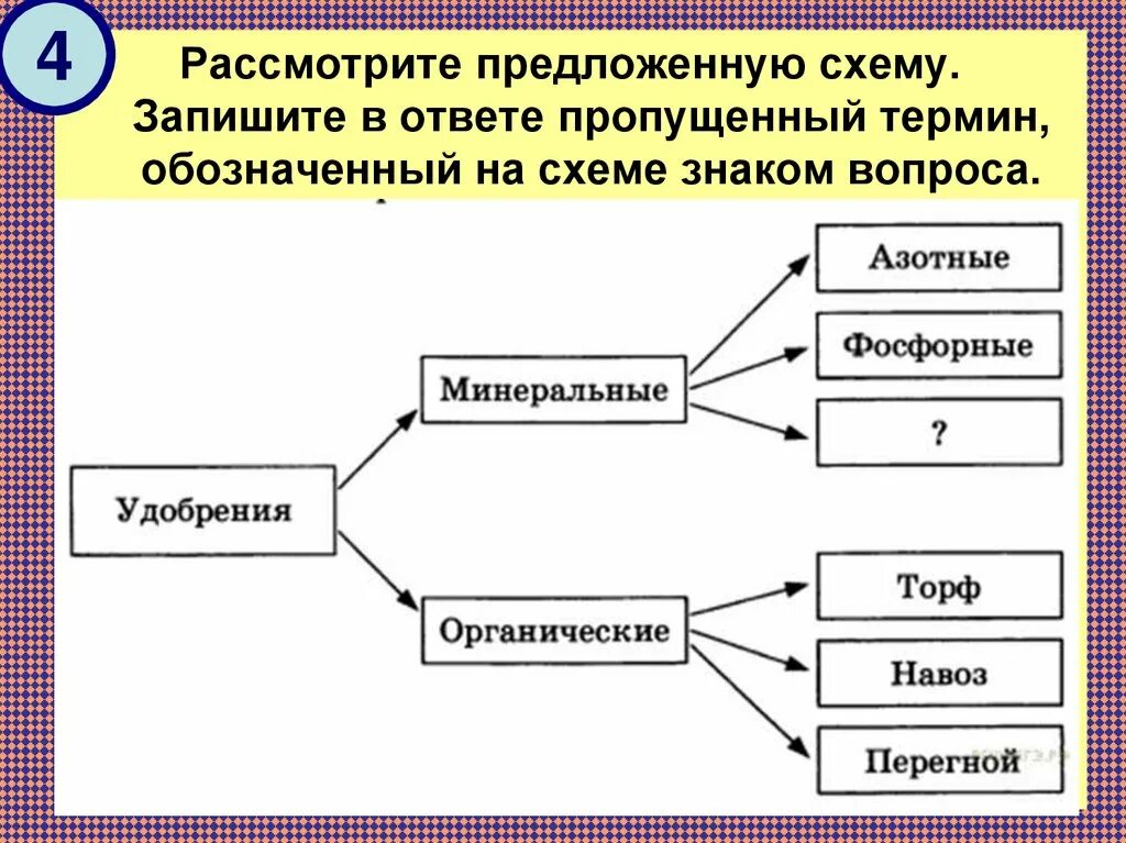 Рассмотрите схему запишите в ответе пропущенный. Биологические термины и понятия. Схемы для презентации. Схема понятий по биологии. Рассмотрите предложенную модель и выполните следующие задания