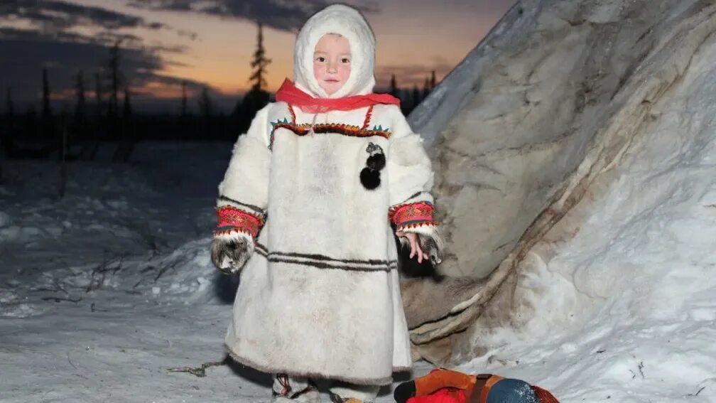 Ненцы ямала. Нганасаны, ханты, манси. Ненцы ханты манси чукчи. Народы сибири ненцы. Ненцы, саамы, манси, ханты.