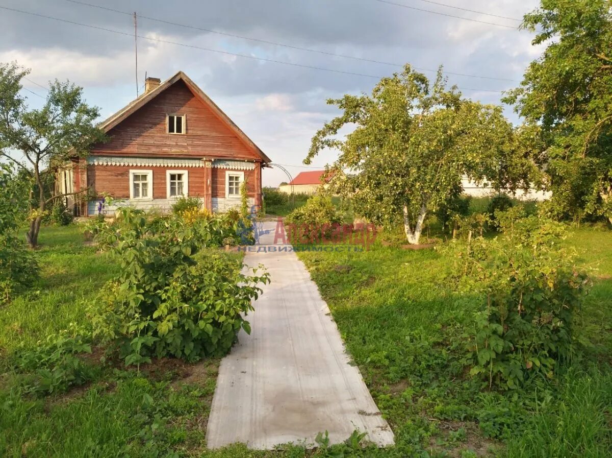 Волосово ленинградская область квартиры. Деревня волосово ленинградская область. деревня волна волосовский район ленинградская область. домашковицы волосовский. деревня домашковицы.