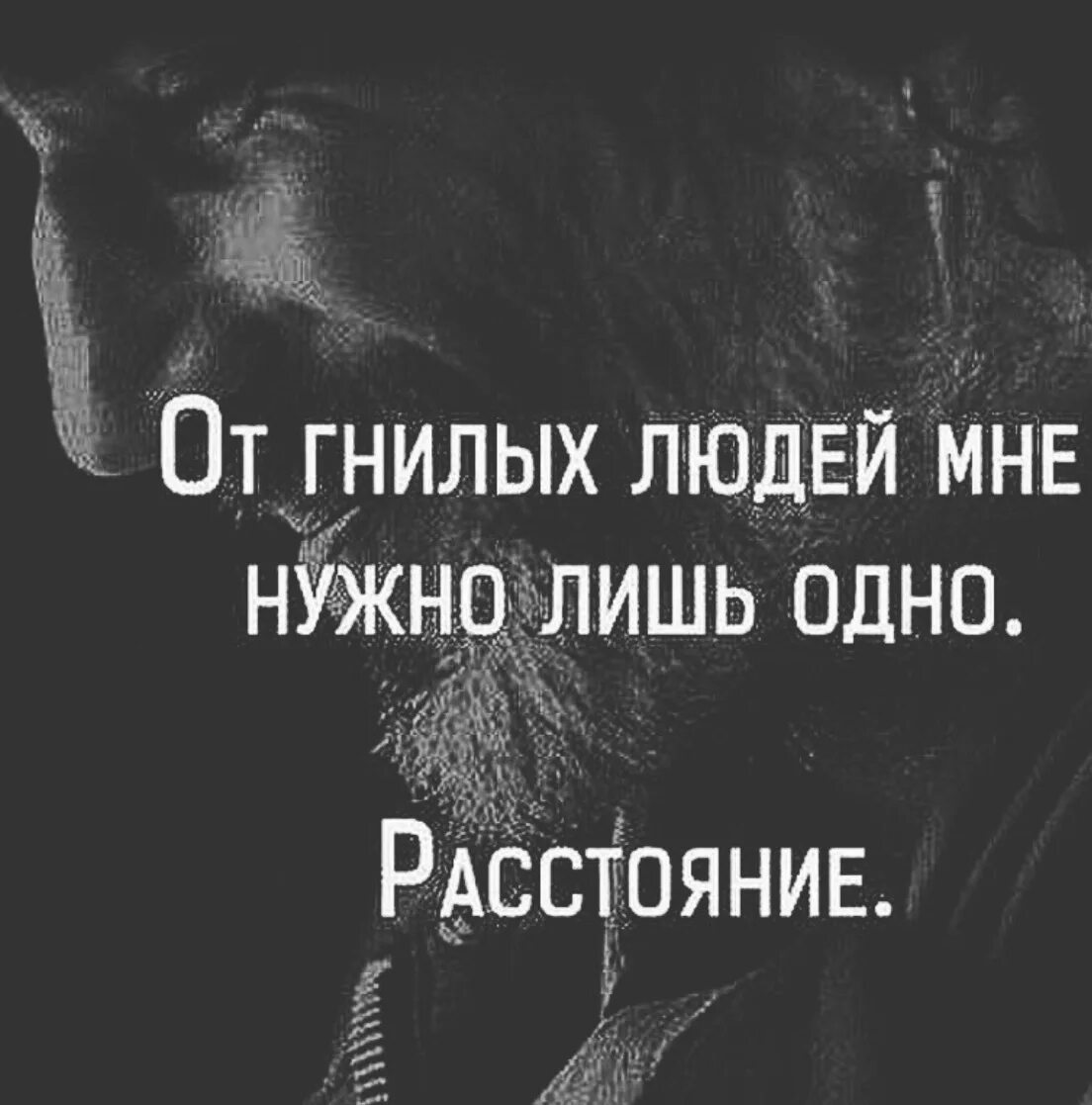 Тебе нужно лишь внимание. Цитаты про гнилых людей. Цитаты про людей. Цитаты протгнилых людей. Цитаты про гнилых людей со смыслом.