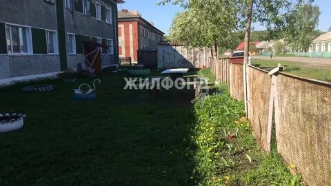 Погода в ордынском нст