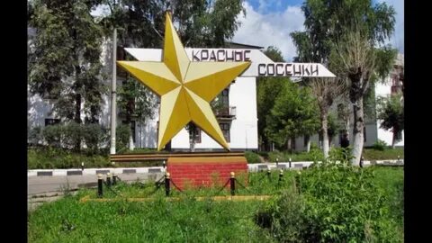 Тейково сосенки
