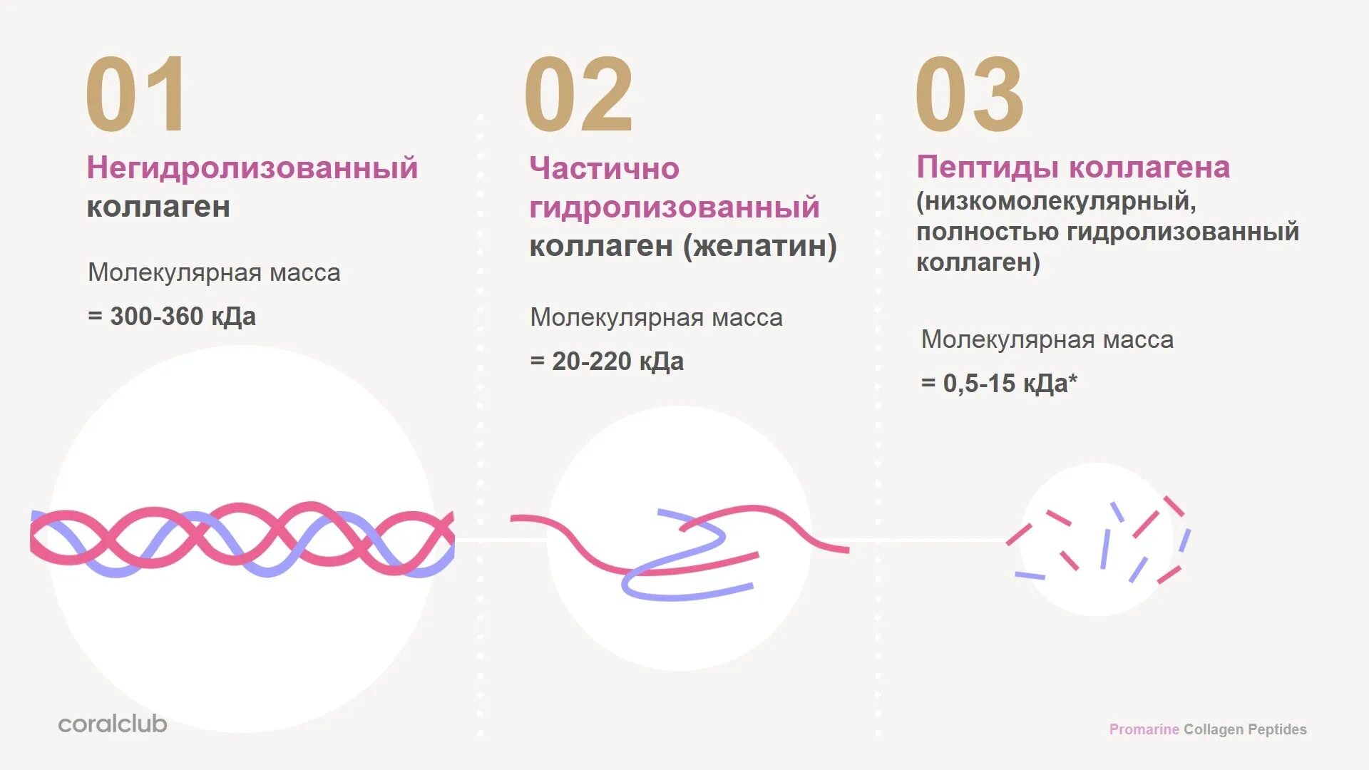 Лучший пептидный коллаген. Гидролизованный коллаген 1 и 3 типа. Коллаген пептиды гидролизованный. Гидролизированный коллаген 1 типа. Коллаген морской гидролизованный.