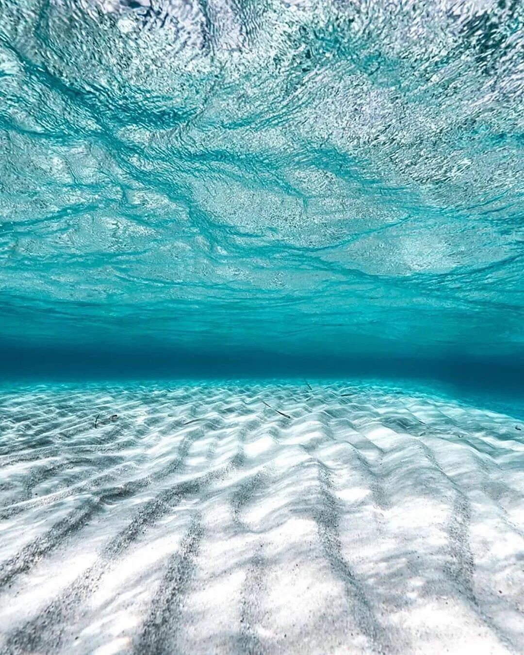 Кристальное море. Океан под водой. Красивый океан. Красивая вода. Морская вода.