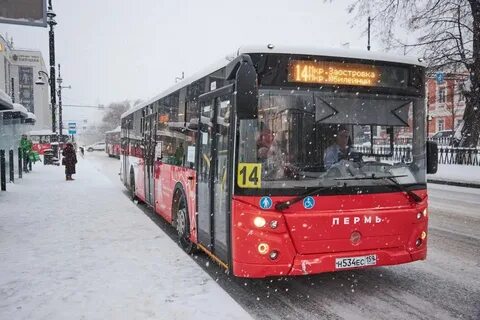 25 ноября 2023 пермь