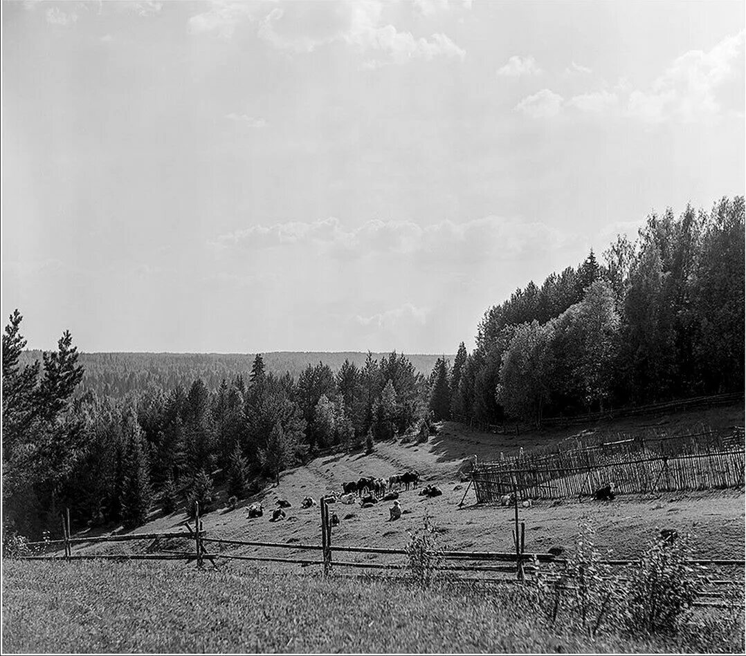 Человек и его окрестности. Солигалич старые фотографии. Исторические фотографии Солигалича. Шашков ручей Солигалич старые фото. Фотографии Солигалич 1960 е годы.