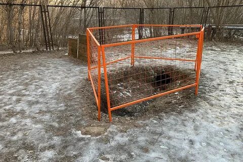 Выгул на детской площадке