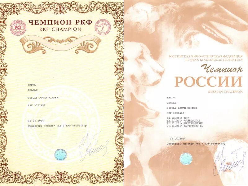 Правила присвоения титулов собакам. Диплом юного чемпиона россии собаки. Сертификат чемпиона россии ркф. Диплом чемпион ркф. Диплом чемпион рфсс.