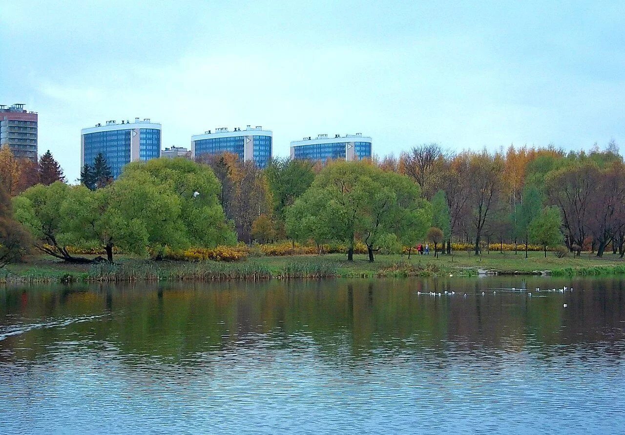 Южно приморский парк спб. Южно приморского парка в спб. Южно-приморский парк в санкт-петербурге 2024. Планета лета спб аттракционы. Южно приморского парка в спб.