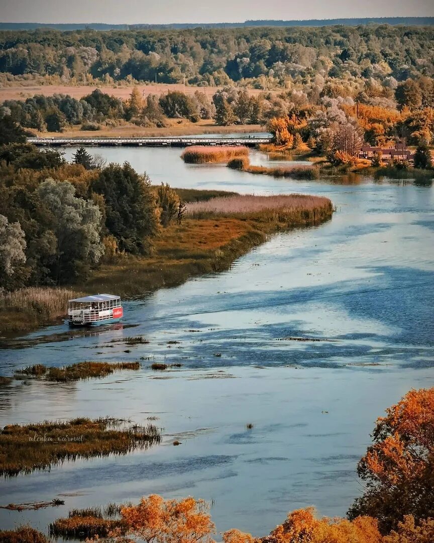 Река Воронеж Рамонь. Рамонь Воронежской области река. Рамонь речка Воронеж. Природа Рамони Воронежской области. Погода рамонь на 10 дней точный