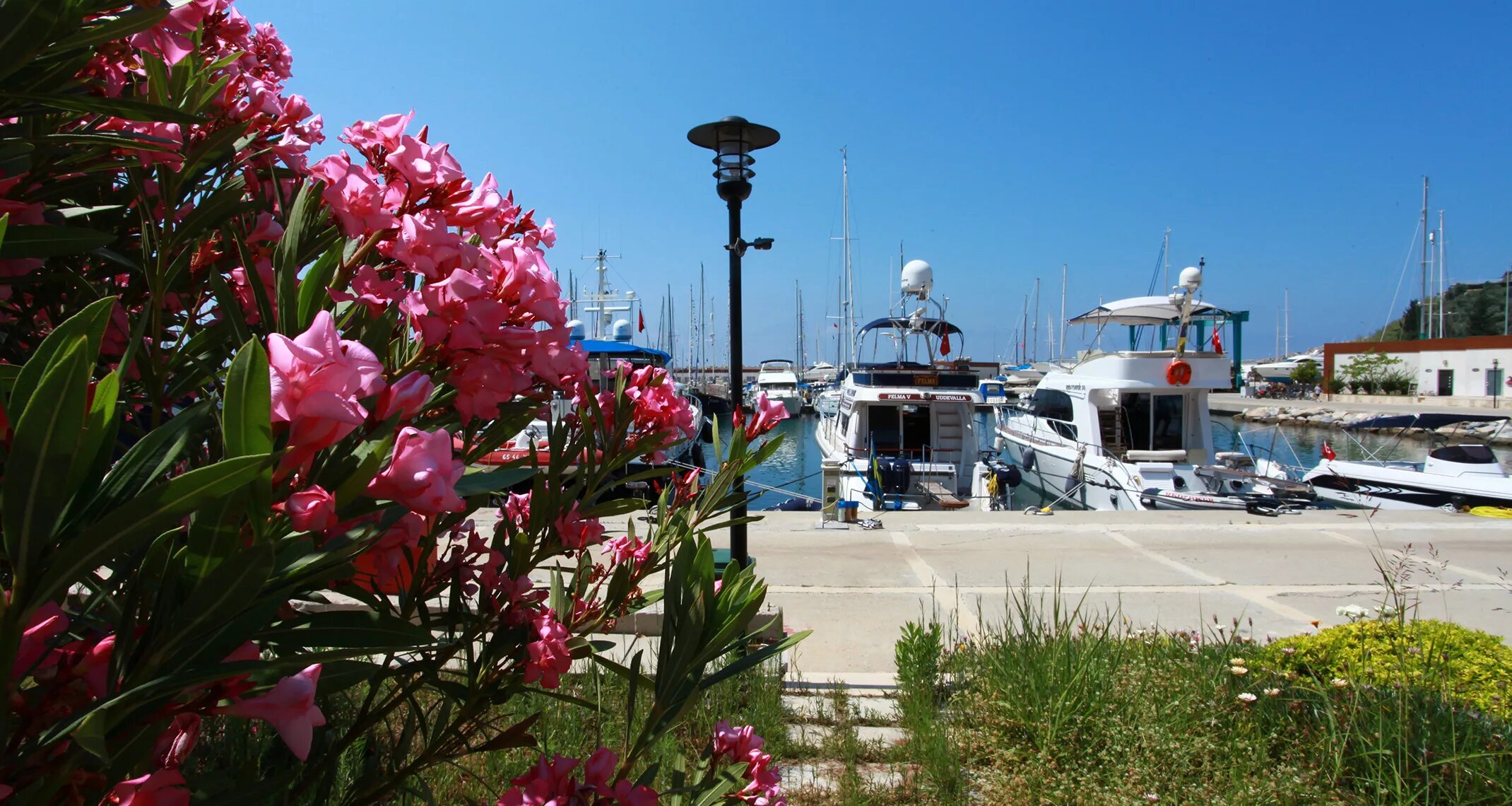 Алания турция фото города и набережной пляжей Отель Cleopatra Golden Beach Hotel 4*/ Турция /Алания фото, описание, туры в о