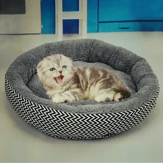 Кровать для кота