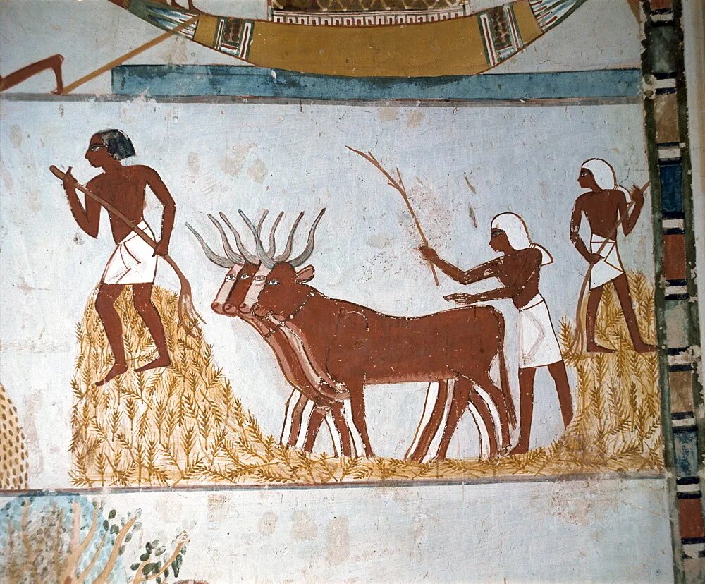 Ремесло египта. Фрески Египта скотоводство. Скотоводство в древнем Египте. Ремесло в Египте. Земледелие в Египте.