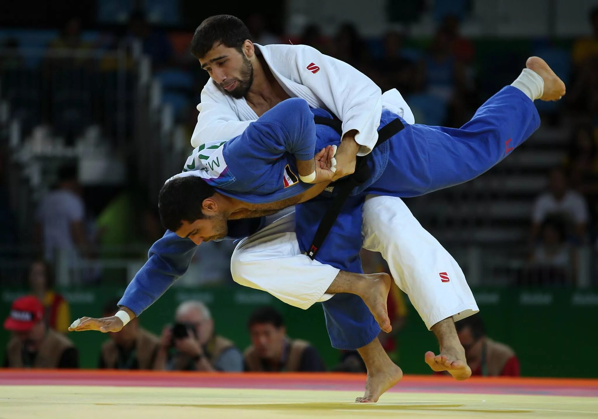 дзюдо произошло