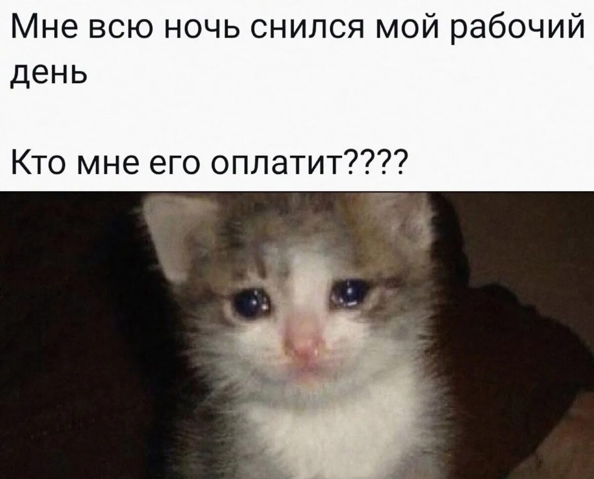 100 причин почему я люблю парня. За что я его. За что я его. 100 причин почему я люблю тебя. За что я его.