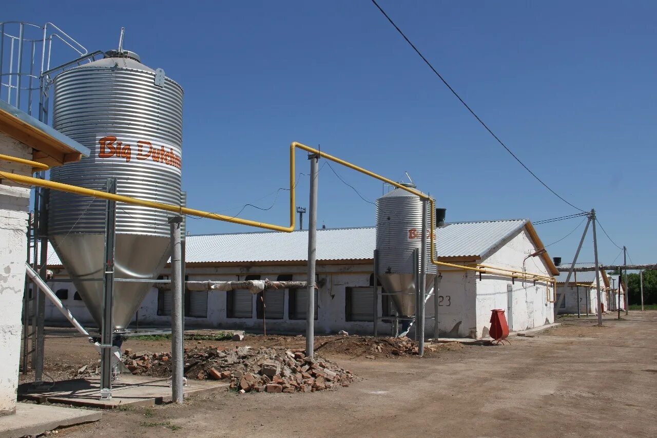 10000 зерен. Птицефабрика уфа. Русгрэйн пенза. Птицефабрика юбилейная габишево. Зерно уфа.