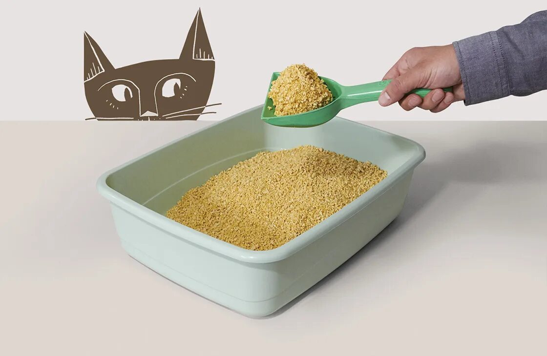 Как часто меняют кошачий туалет. Кошачий наполнитель cat litter. наполнитель для кошачьего туалета cat litter. кошачий наполнитель кэт литтер. cat litter наполнитель тофу.