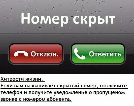 Как выглядит скрытый номер Asus ZenFone 2 Обсуждение 4PDA