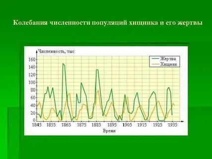 Численность хищных