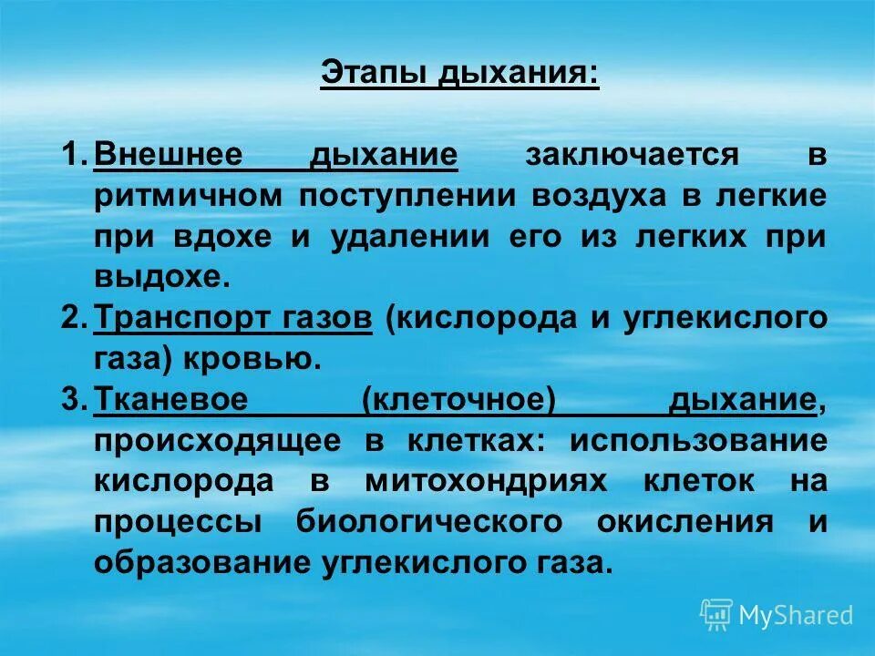 Три основные стадии