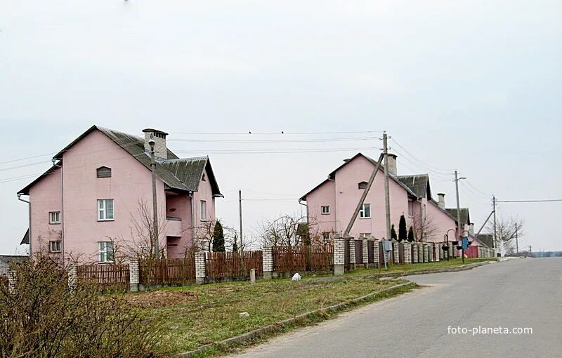 Волпа волковысский. Волпа волковысский