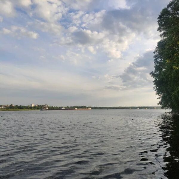 Шексна водохранилище. Река шексна череповец. Вода река шексна. Вода река шексна. Река шексна.
