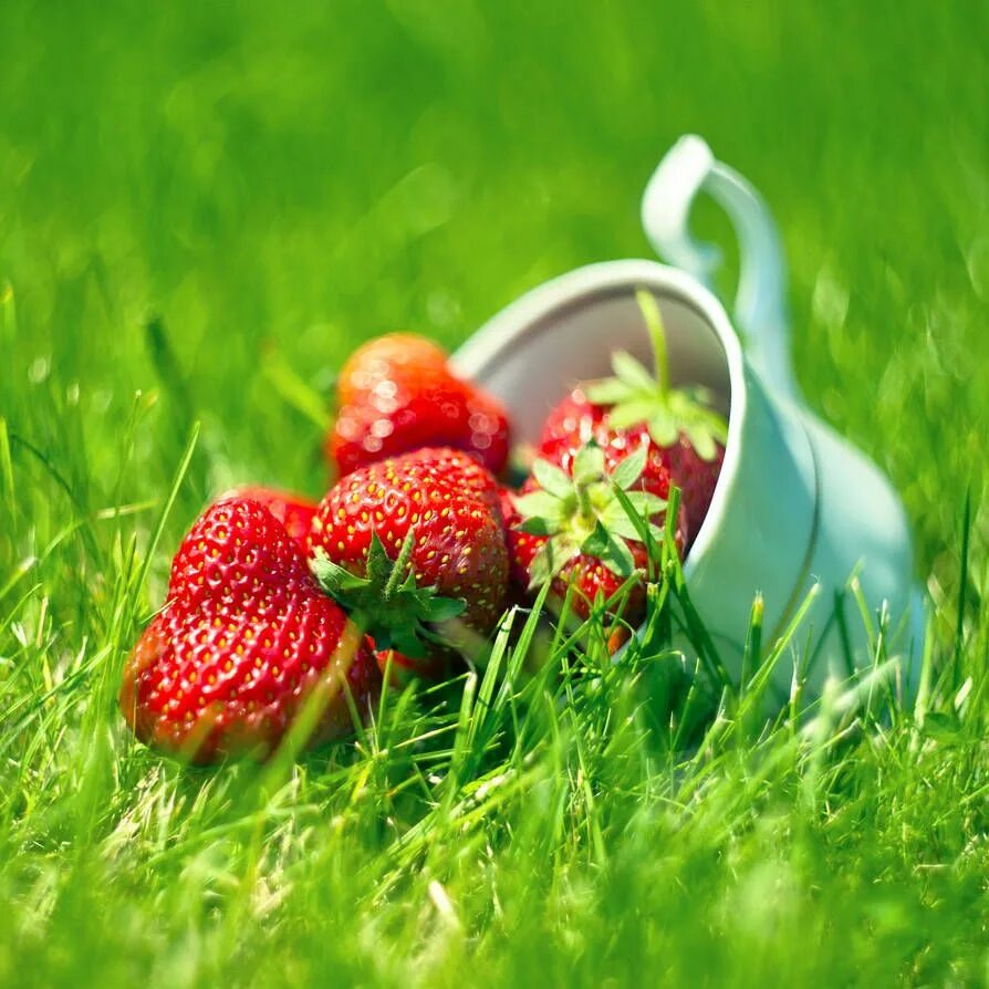 Pin on Доброе утро Flowers gif, Nature images, Nature photography