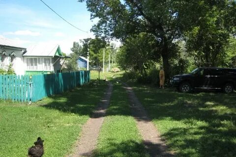 Село шишкино
