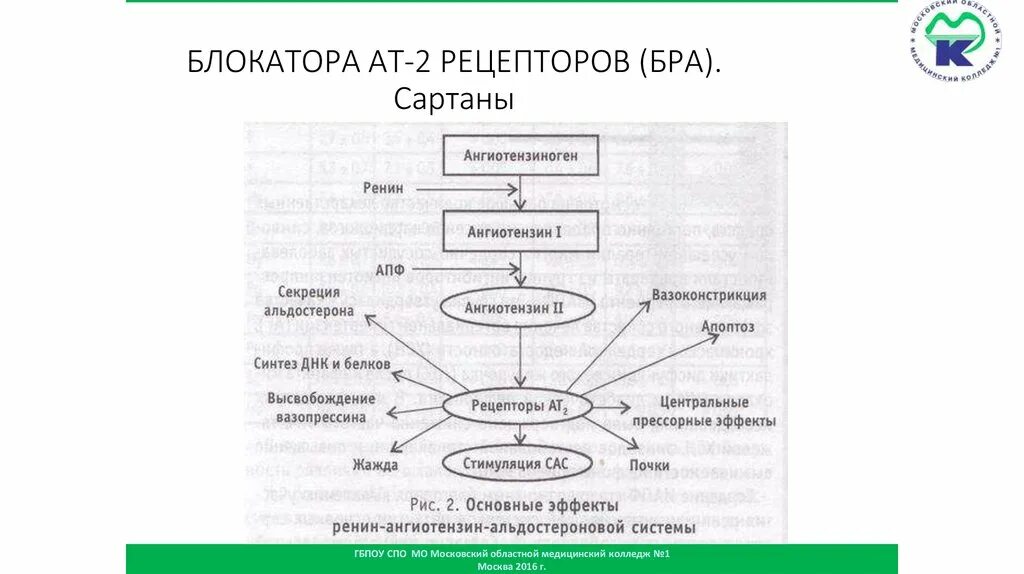 •Блокаторы рецепторов АТ II (бра). Блокаторы рецепторов ангиотензина 2 сартаны механизм действия. Бра механизм действия. Блокатор ангиотензиновых рецепторов сартаны. Сартаны ингибиторы