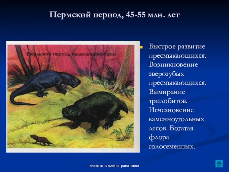 Какое отношение пермский период имеет городу пермь. Пермский период (290 – 248 млн. лет назад). пермский период млн лет. вымирание каменноугольных лесов в пермском периоде. вымирание каменноугольных лесов в пермском периоде связано с.