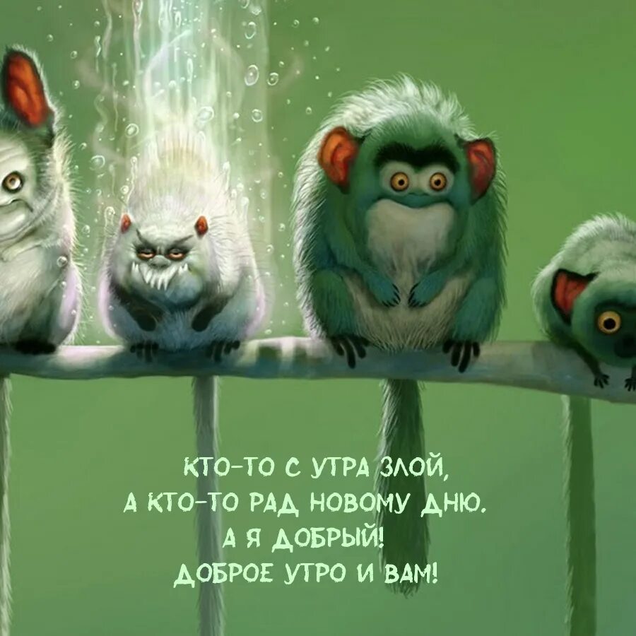 Злое утро