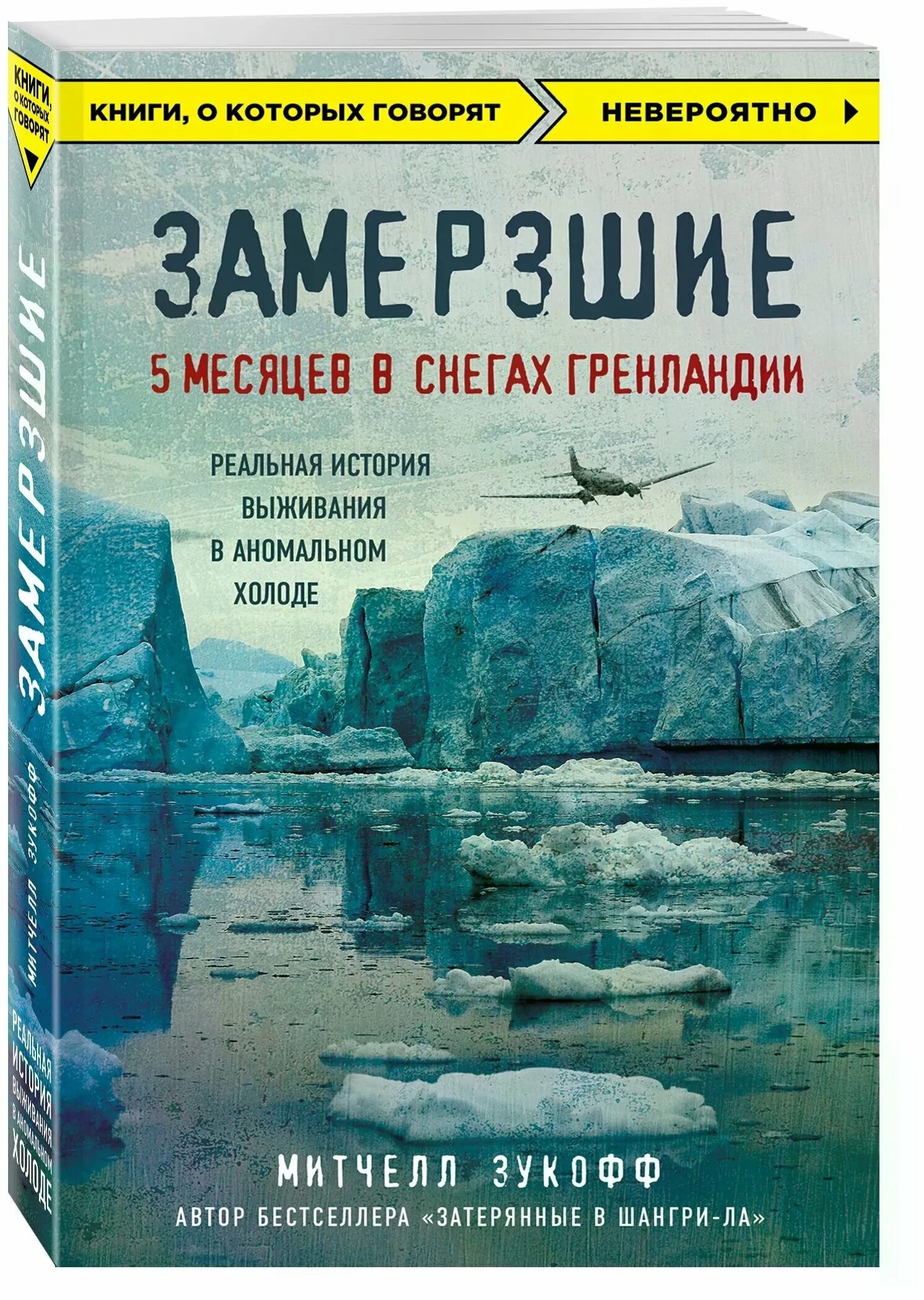 Замерзшие книга Митчелл. Замерзшие 5 месяцев в снегах Гренландии. Замерзшие 5 месяцев в снегах Гренландии книга. Книга замерзшие в снегах.