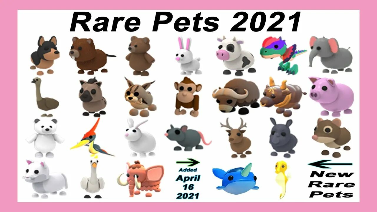 Rare pets. Adopt me rare Pets. Adopt me бурый медведь. How many Pets. Rare Bear Roblox.