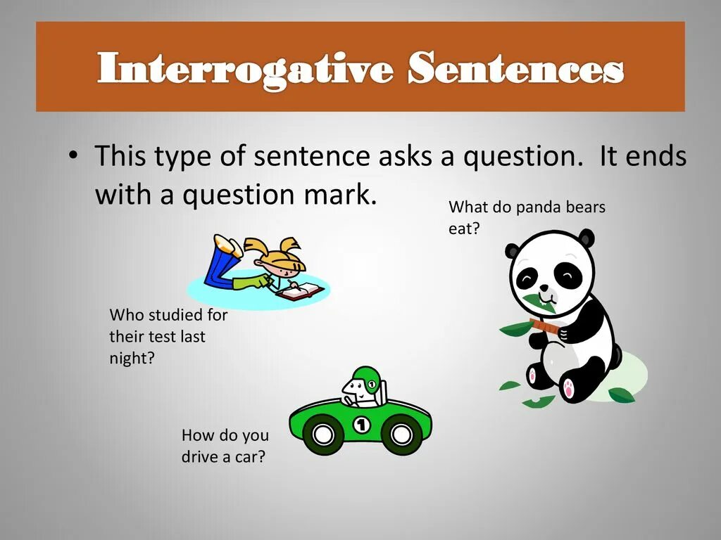 Write interrogative sentences. Types of sentences. Types of interrogative sentences. Types of sentences presentation. English interrogative sentences.