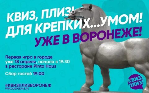 Квиз плиз саранск