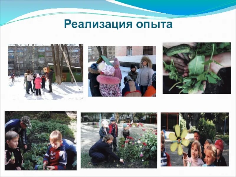 Реализация опыта. Опыт реализации проекта пример. Реализация опыта. Опытное внедрение. Реализация опыта.