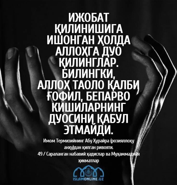 Ҳадислар тўплами ўзбек тилида. Ҳадислар тўплами ўзбек тилида. Хадис узбек. Исломий хадислар. Исломий хикматлар.