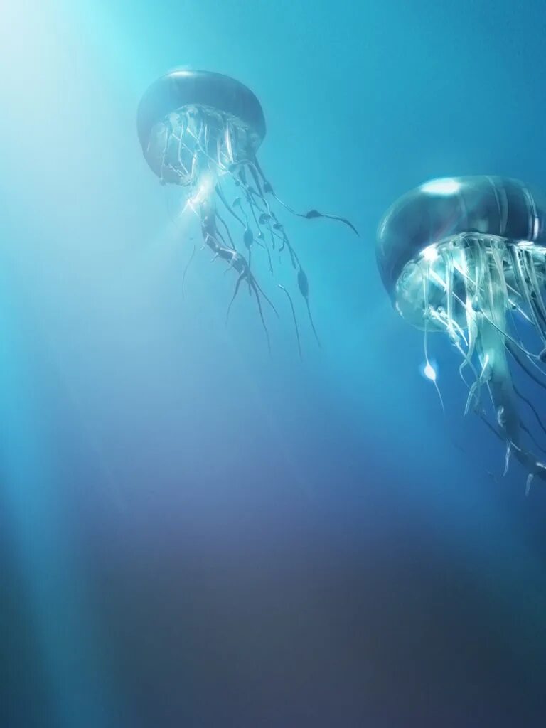 1 свет в океане. Под водой. Свет под водой. Фантастические медузы. Фон под водой.
