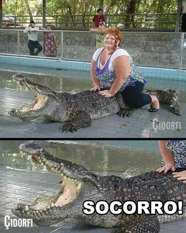Как она есть прикол