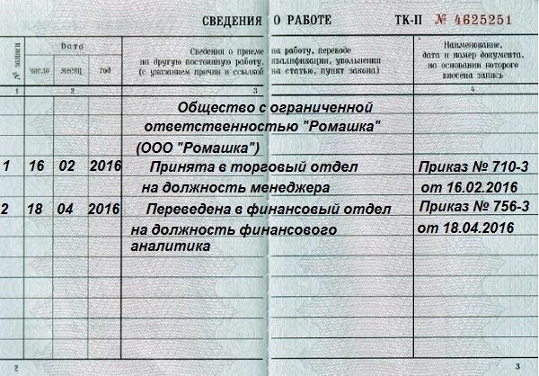 Запись о переводе на другую работу. Образец заполнения трудовой книжки при переводе на другую должность. увольнение сотрудника по собственному желанию в трудовой. трудовая книжка переведена на должность образец. запись о переводе на другую должность в трудовой книжке образец 2025.