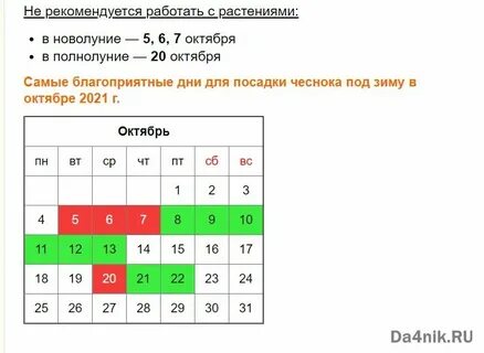 Когда сажать чеснок осенью по лунному календарю