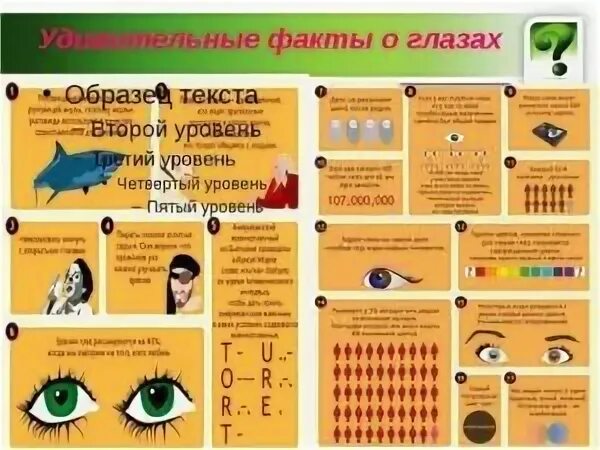 Факты о зрении