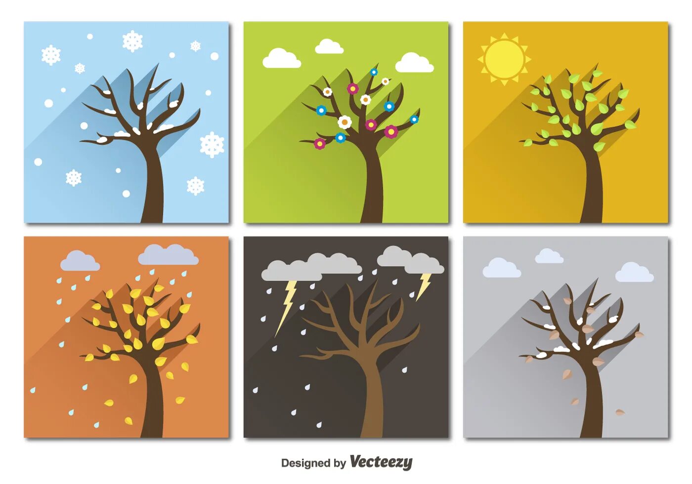 Seasons trees