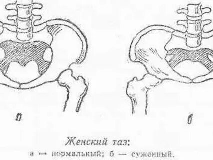 На какой недели беременности расходятся кости