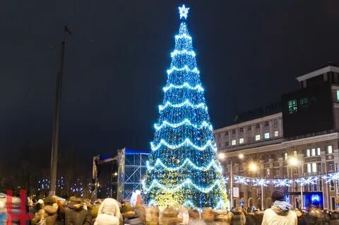 Ели донецк