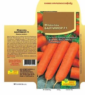 Морковь описание