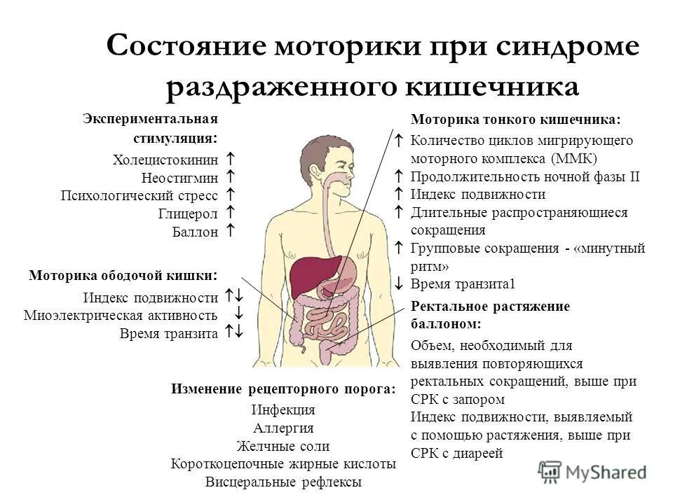 Желчный стресс. Синдром раздраженного кишечника. При синдроме раздраженного кишечника. Синдромы при раздраженном кишечнике. Синдром раздраженного кишечника (СРК).