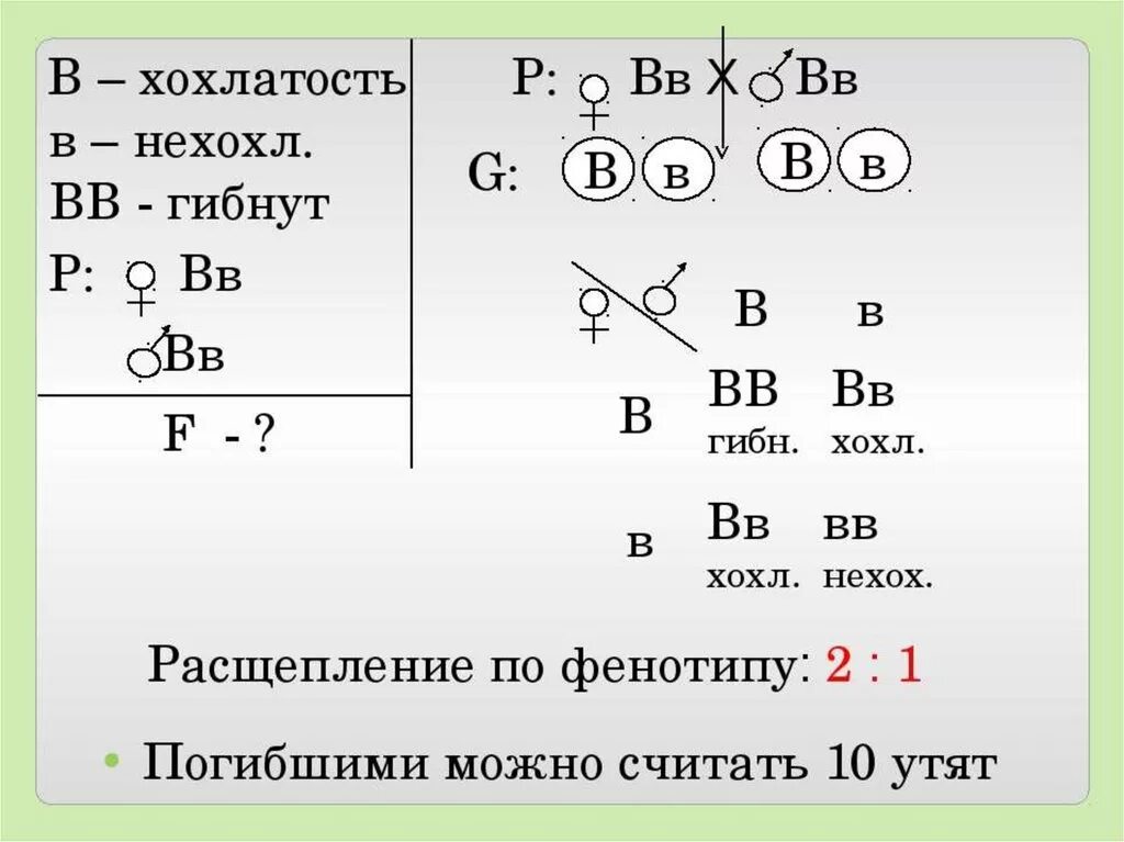 Нормальная форма эритроцитов неполно доминирует над серповидной. Нормальная форма эритроцитов неполно доминирует над серповидной