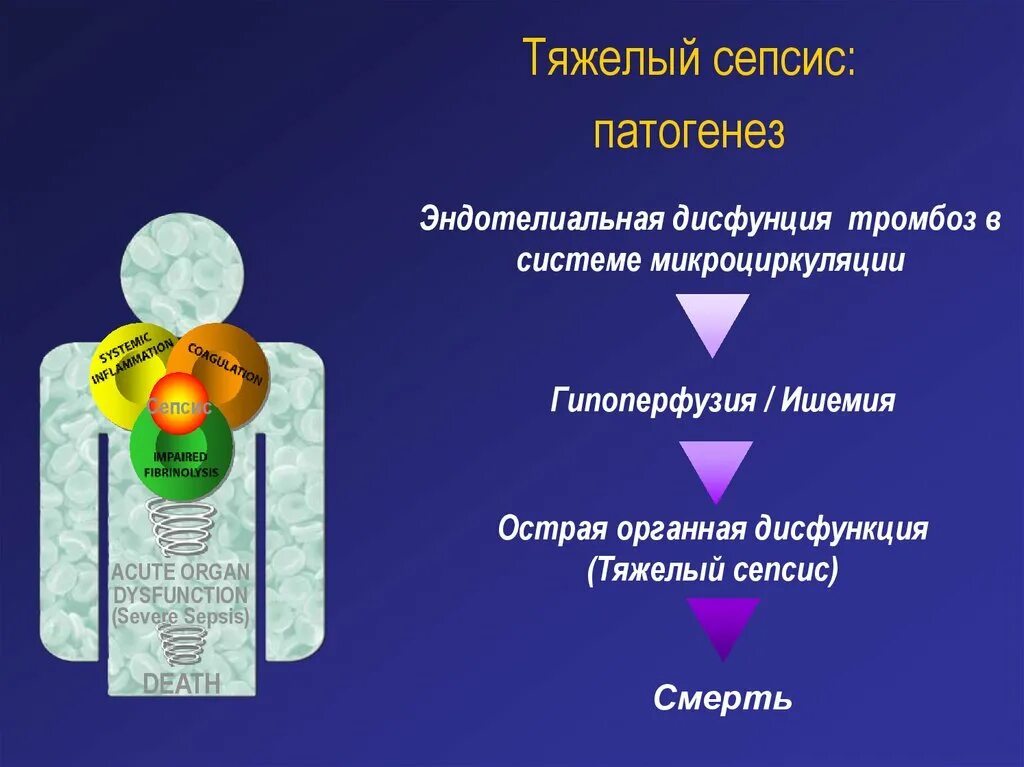 При сепсисе бактерии