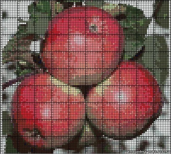 вышитые яблоки. вышитые яблоки. алиса яблоки вышивка. вышивка крестом яблоко. вышитые яблоки.